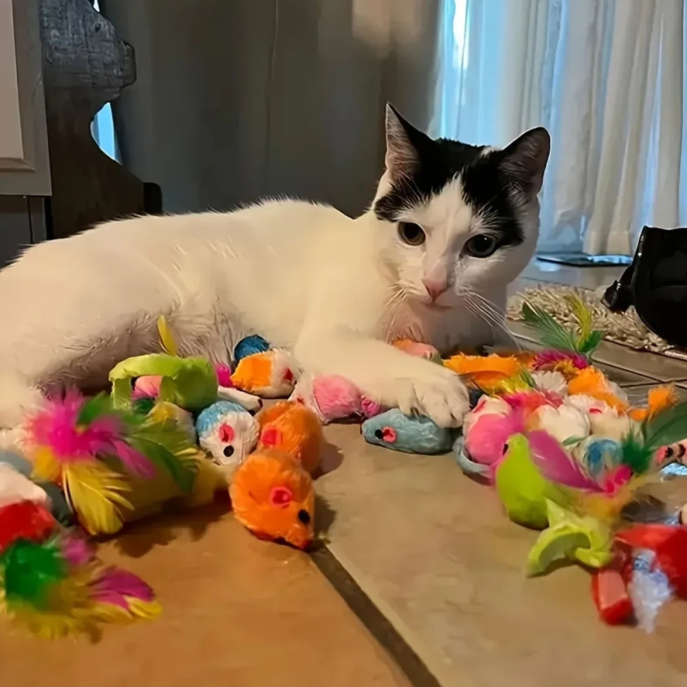 Mixed Pack Cat Toys